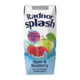 Radnor Splash Tetra Apple & Raspberry 250ml (Pack of 24)