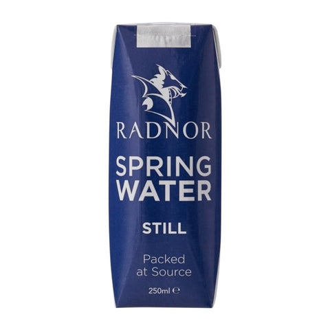 Radnor Still Spring Water Tetra Pak 250ml (Pack of 24)