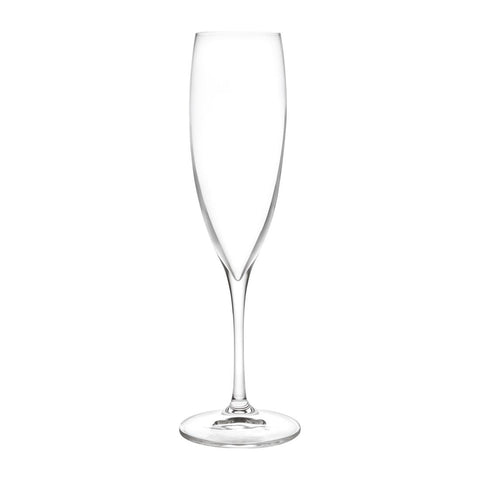 RCR Cristalleria Invino Champagne Flute 241ml (Pack of 12)