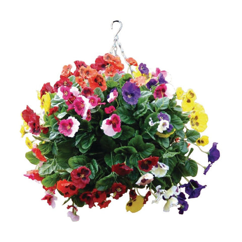 22 inch Mixed Colours Pansy Ball
