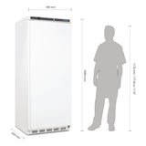 Polar Light Duty Single Door Freezer White 600 Ltr