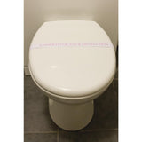 Hygiene Sanitary Toilet Strips (Pack of 250)
